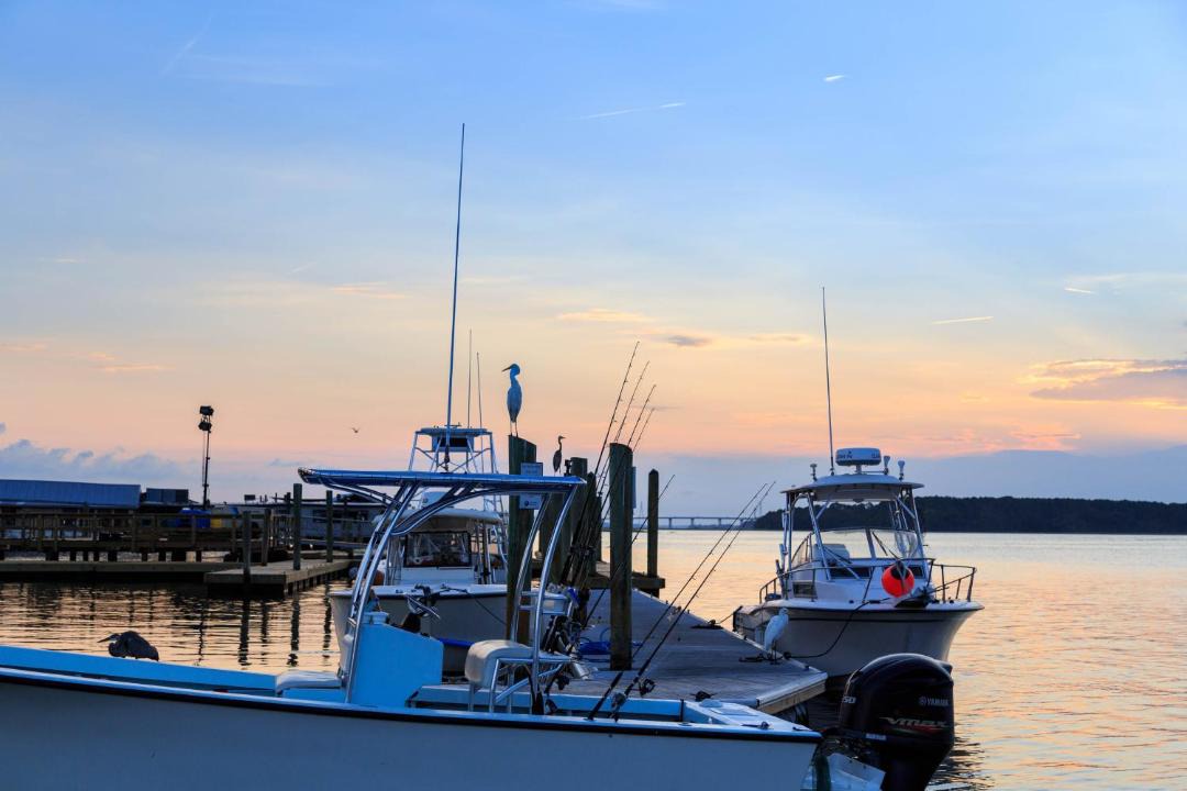 Photo of Outdoor in Hilton Head Island