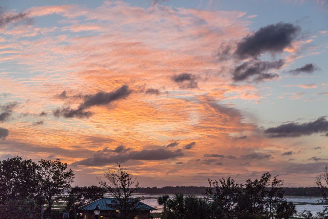 Photo of Outdoor in Hilton Head Island