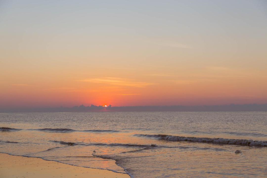Photo of Outdoor in Hilton Head Island