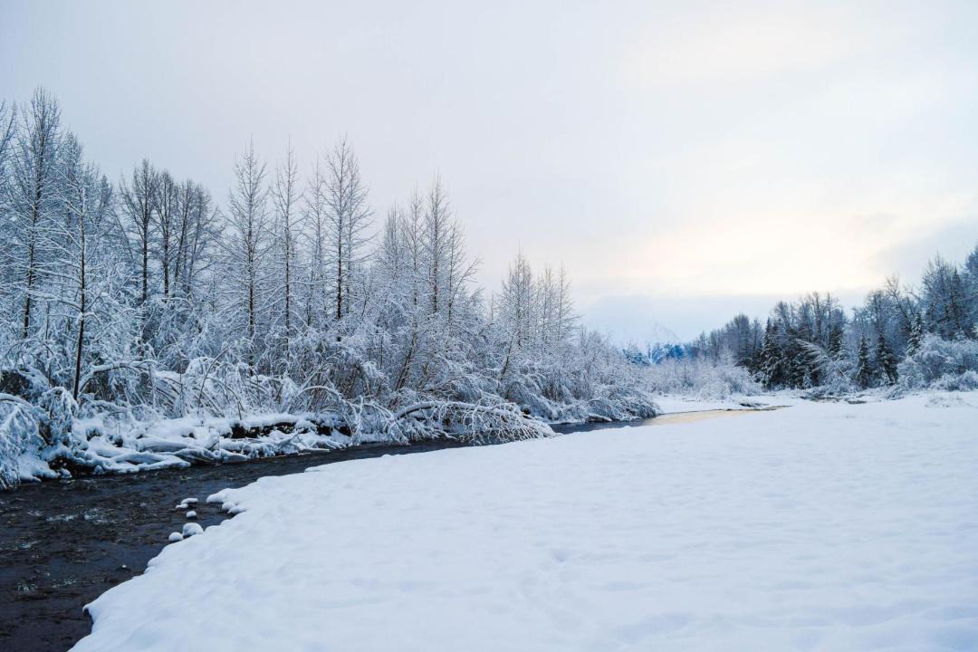 Photo of Others in Alyeska