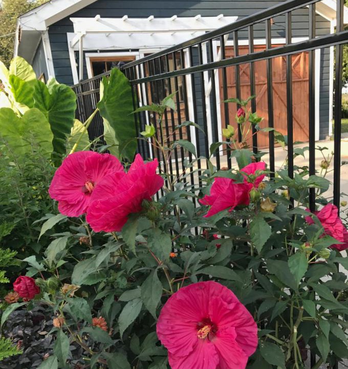 Photo of Patio Balcony in Fontana
