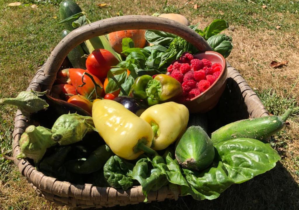 Photo of Others in Videix