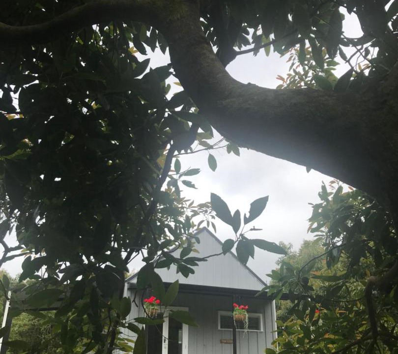 Photo of Others in Onemana