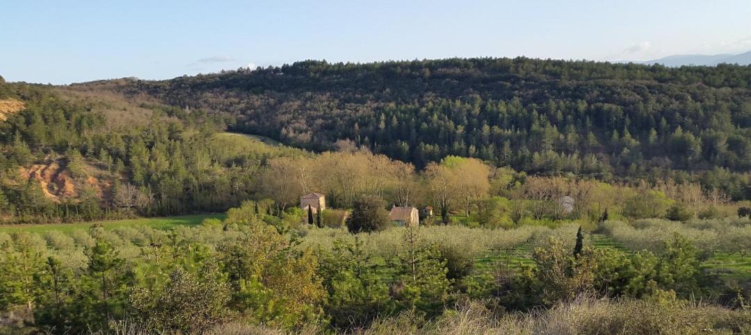 Photo of Others in Luc-sur-Aude