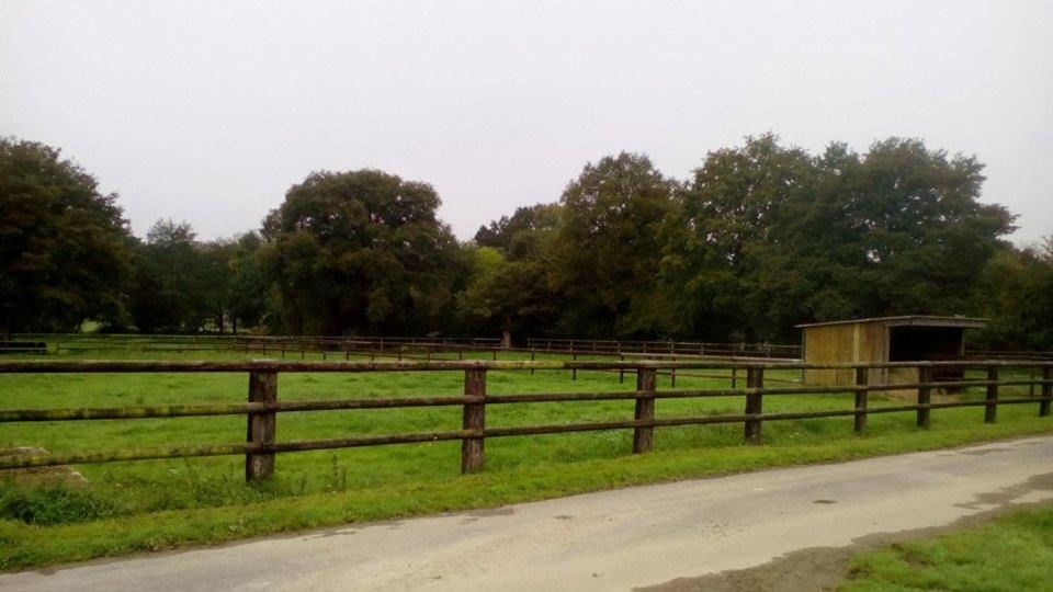 Photo of Others in La Baconniere