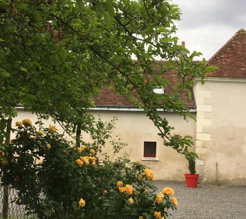 Photo of Others in Villeloin-Coulange