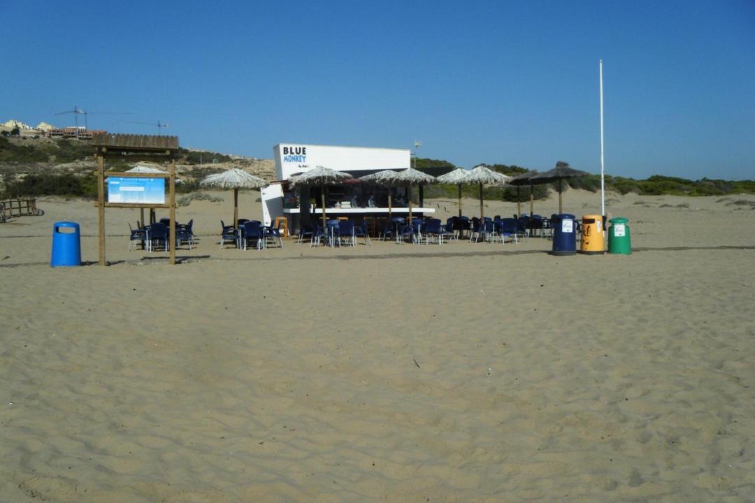 Photo of Others in Los Arenales del Sol