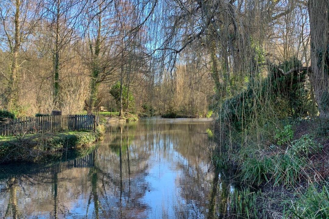 Photo of Others in Stoke-sub-Hamdon