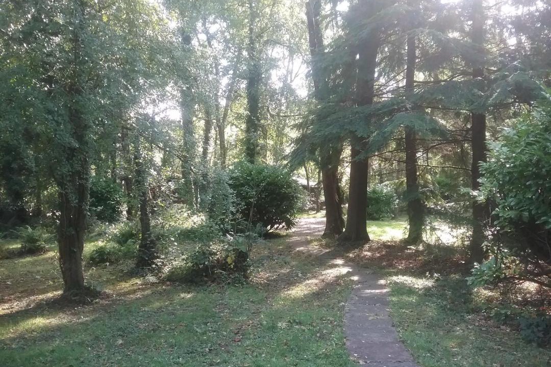 Photo of Others in Cenarth