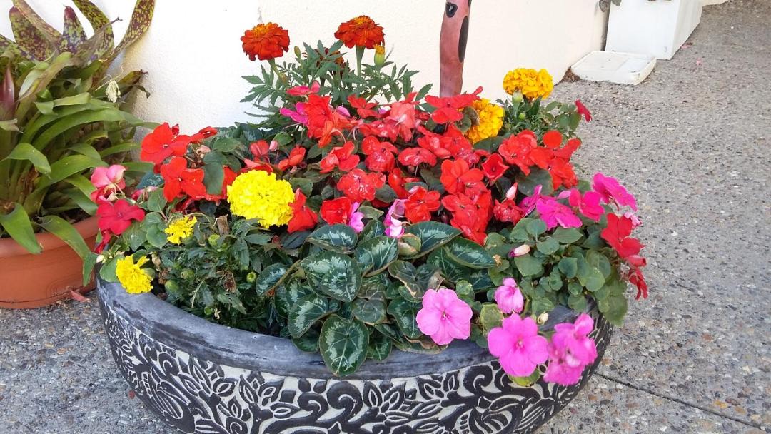 Photo of Others in Hamilton North