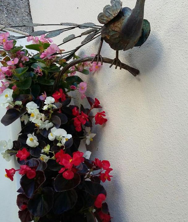 Photo of Others in Hamilton North