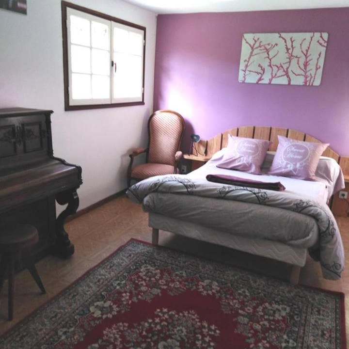 Photo of Others in Garin