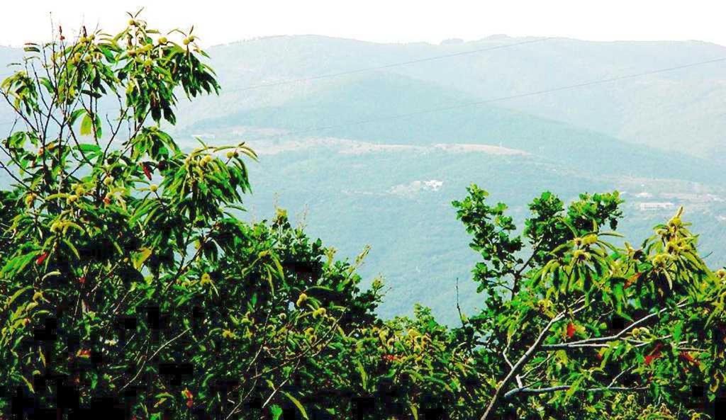 Photo of Outdoor in Gilhac-et-Bruzac