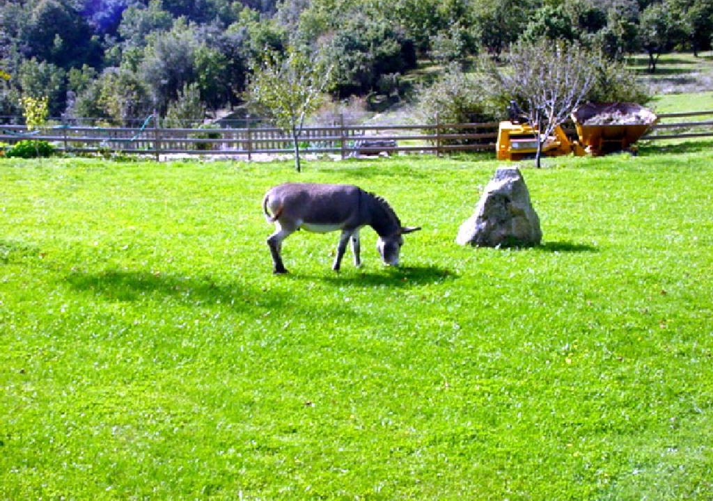 Photo of Others in Gilhac-et-Bruzac