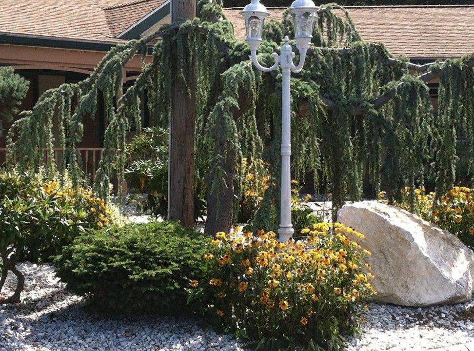 Photo of Others in Cheshire