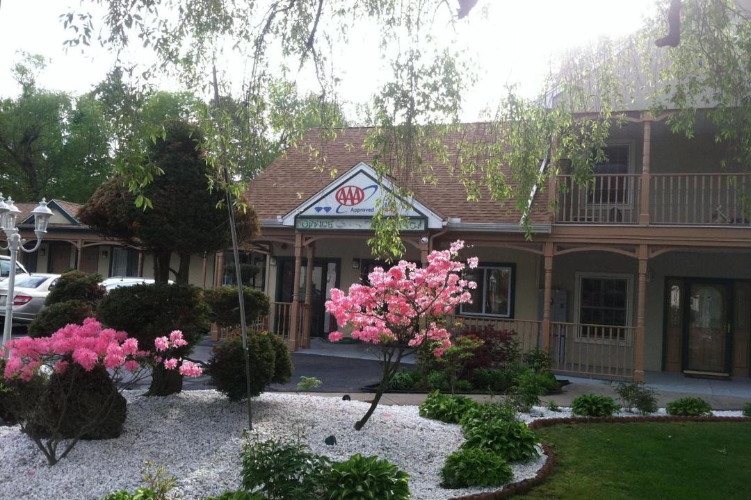 Photo of Others in Cheshire