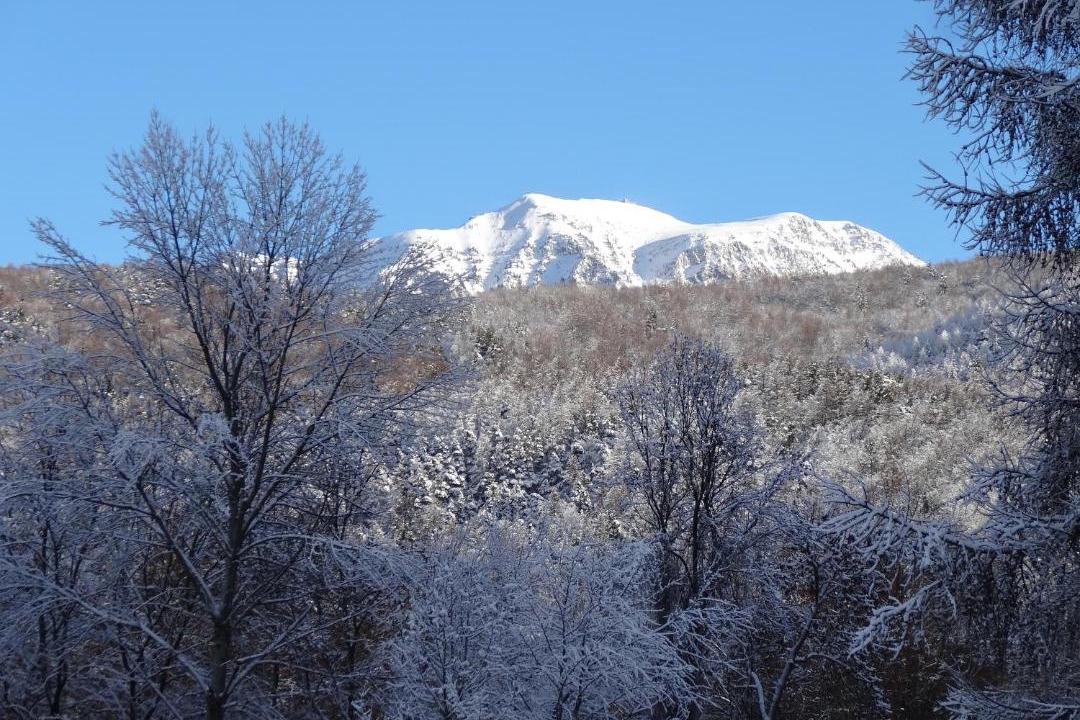 Photo of Others in Ubaye-Serre-Poncon