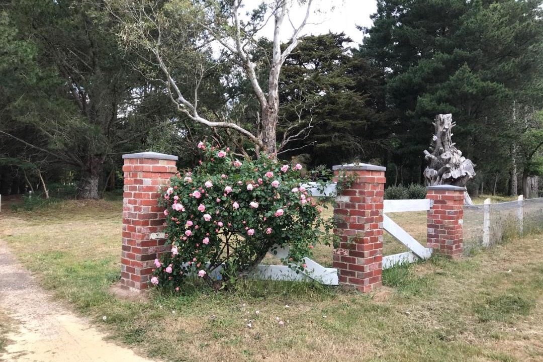 Photo of Others in Enfield