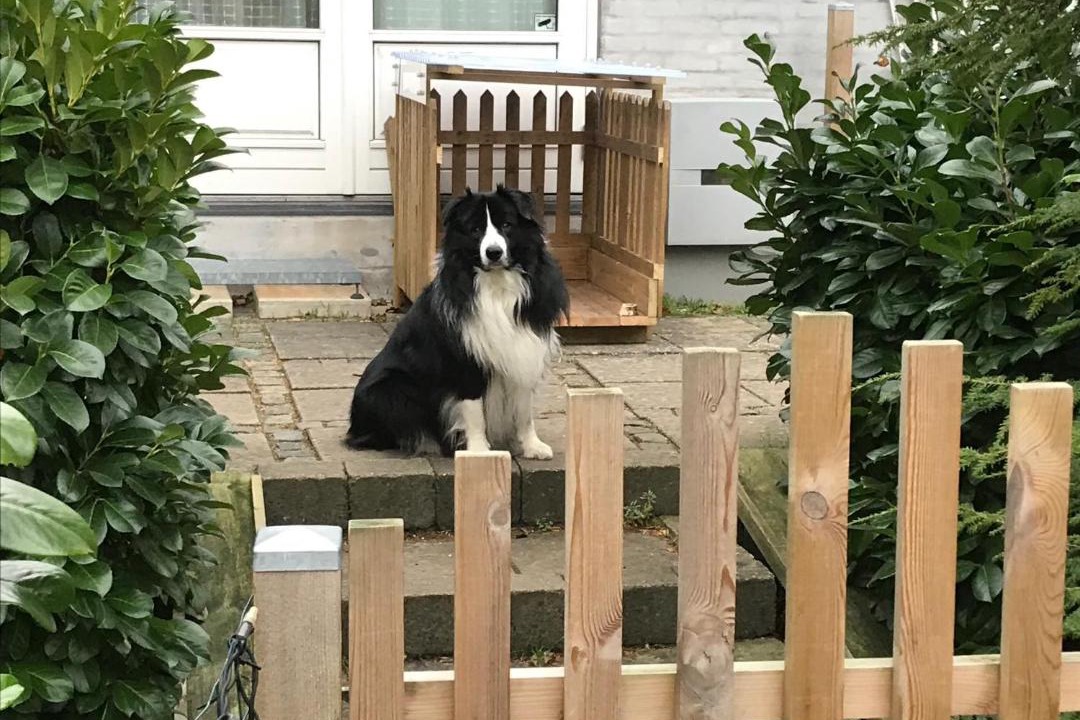 Photo of Others in Birkerod