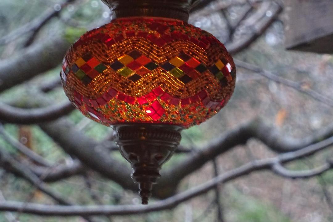 Photo of Others in Central Interlaken