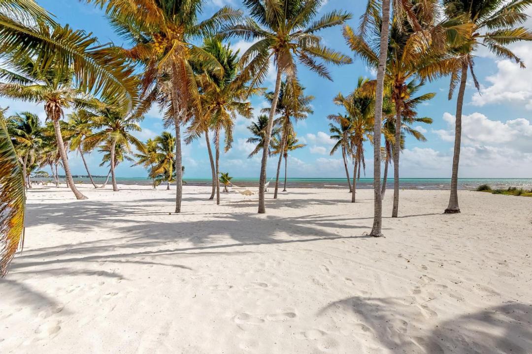 Photo of Others in Lower Matecumbe Beach