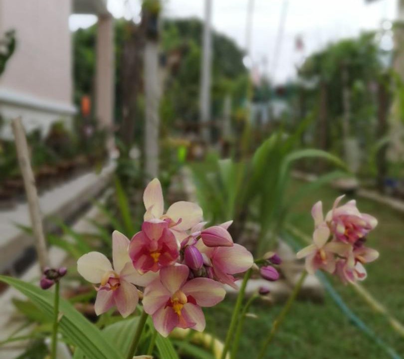 Photo of Patio Balcony in Kuala Rompin