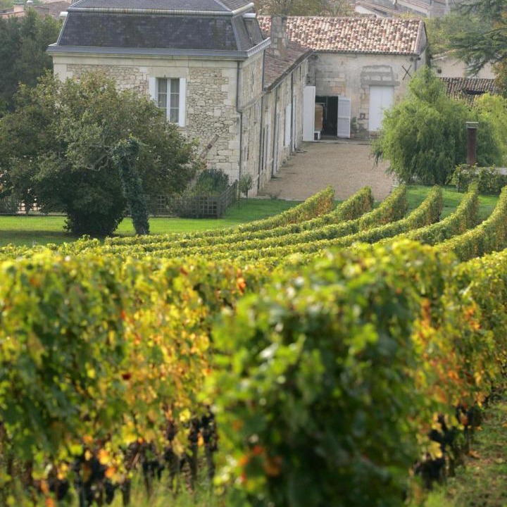 Photo of Others in Fronsac