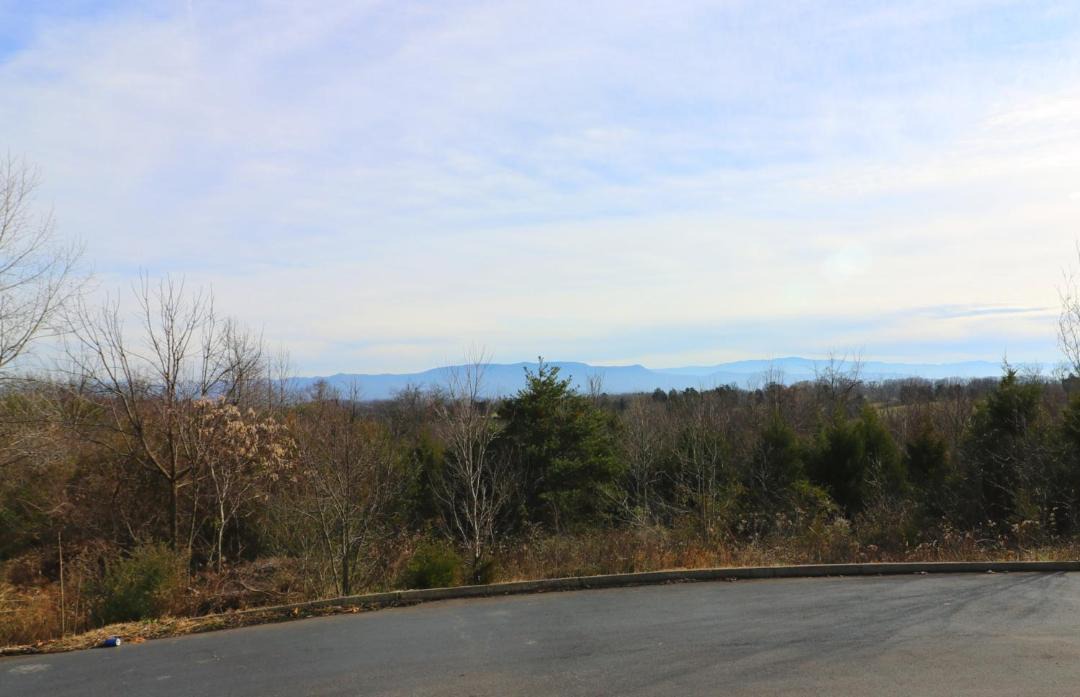 Photo of Others in Dandridge