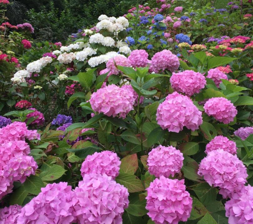 Photo of Others in Sevignacq-Meyracq