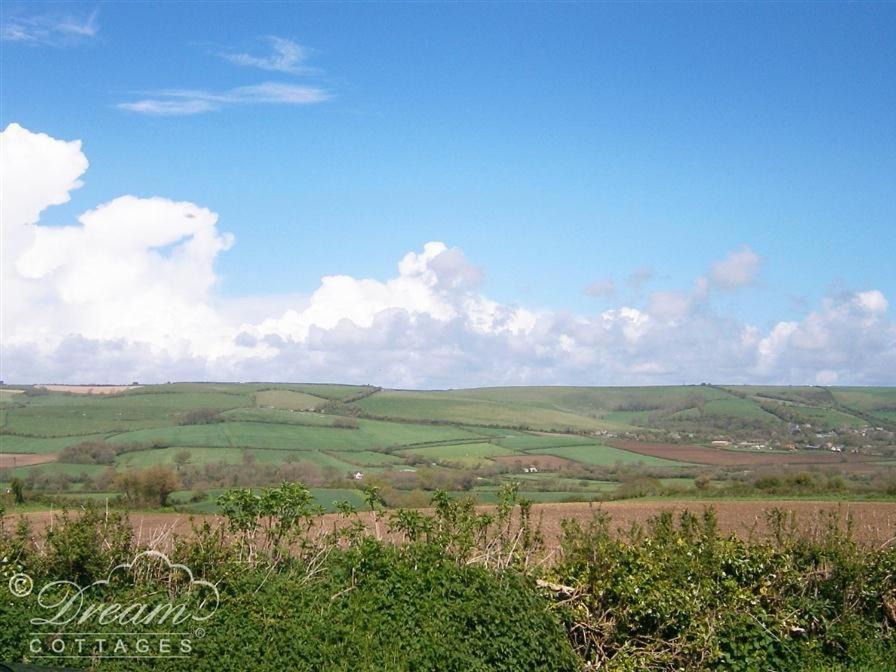 Photo of Outdoor in Puncknowle