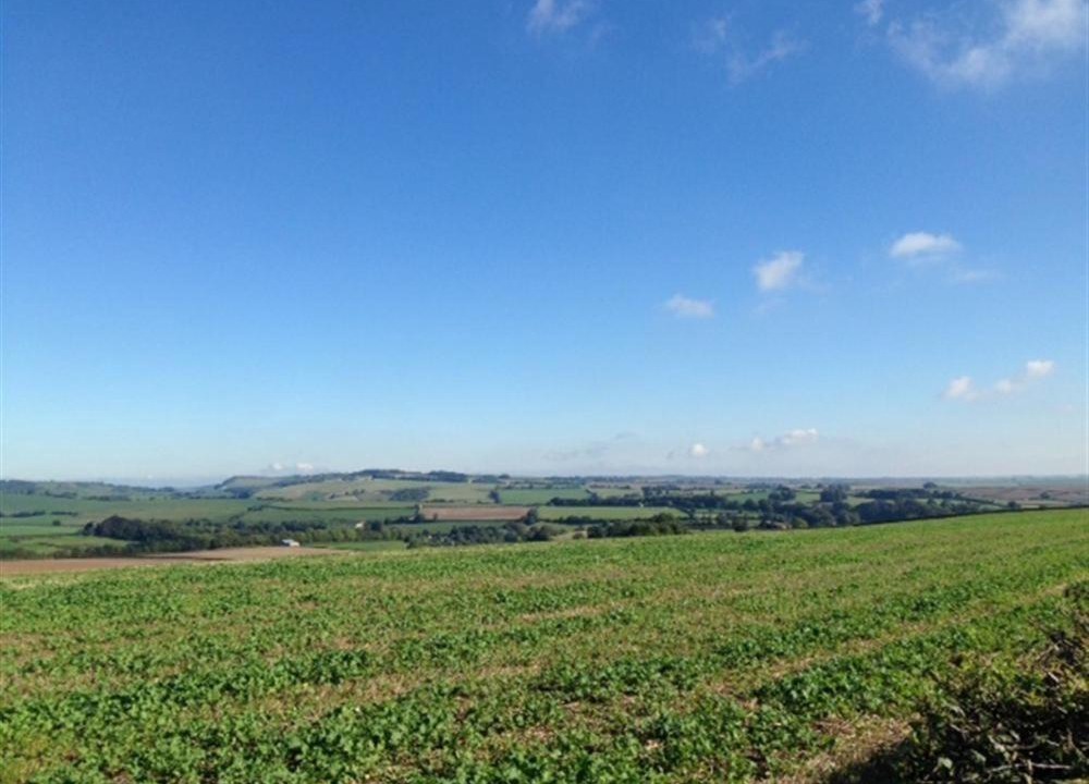 Photo of Others in Evershot