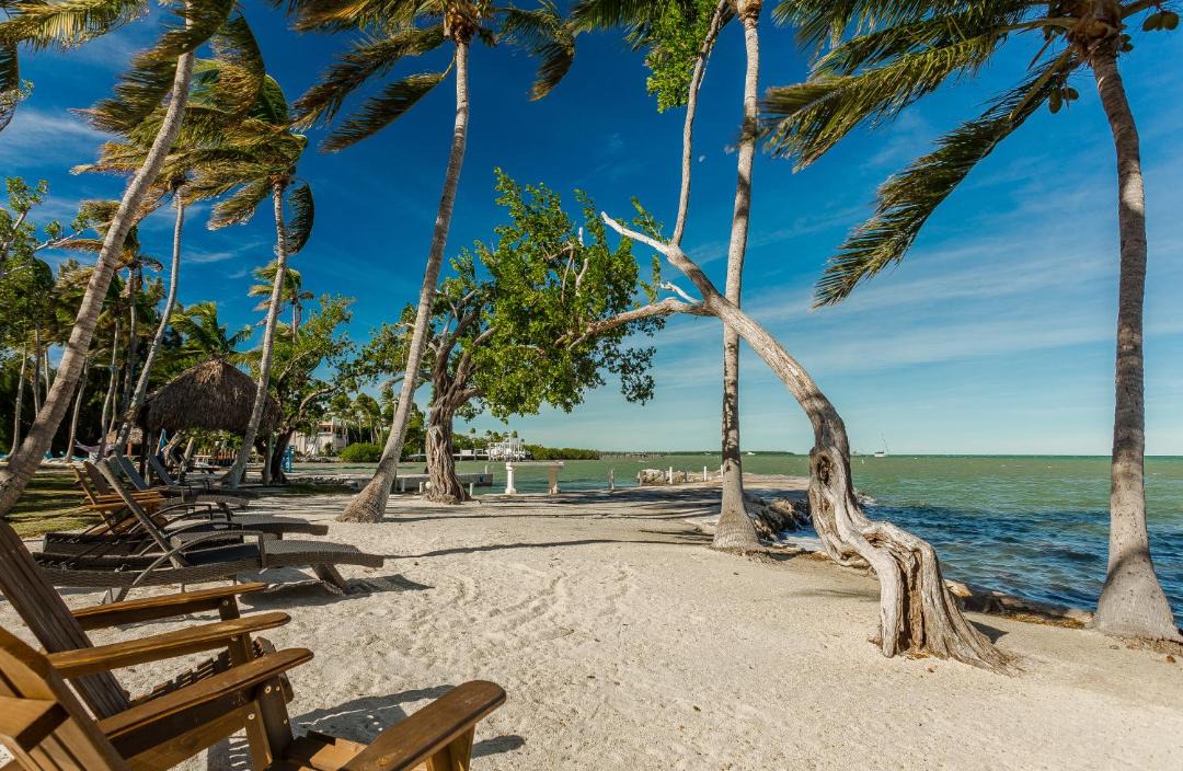 Photo of Others in Islamorada