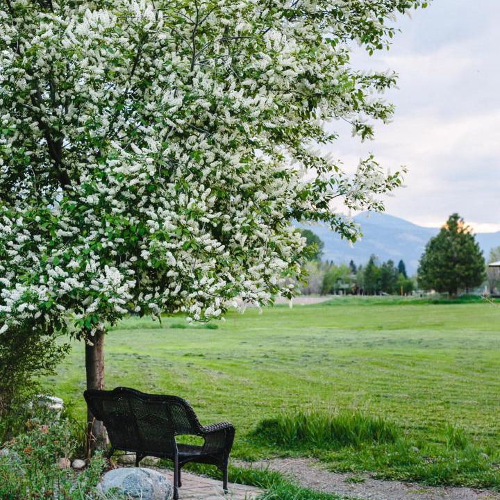 Photo of Others in Winthrop