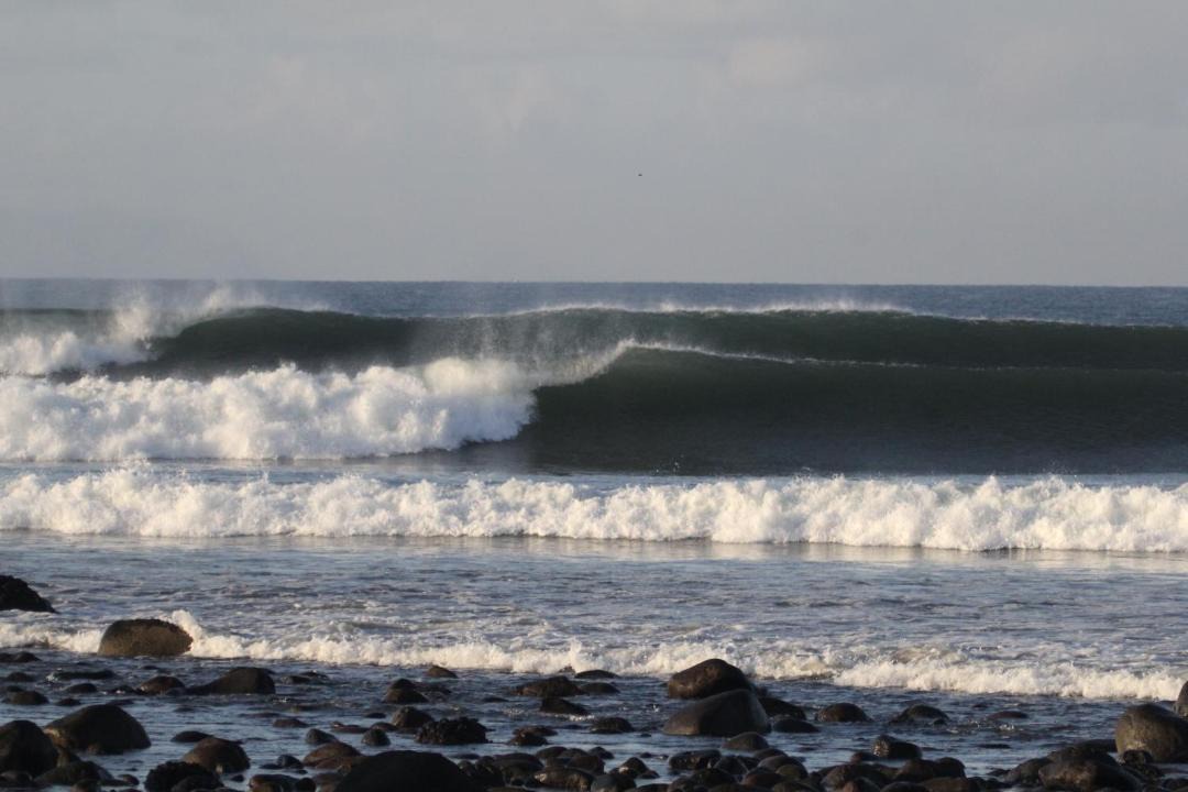 Photo of Others in Medewi