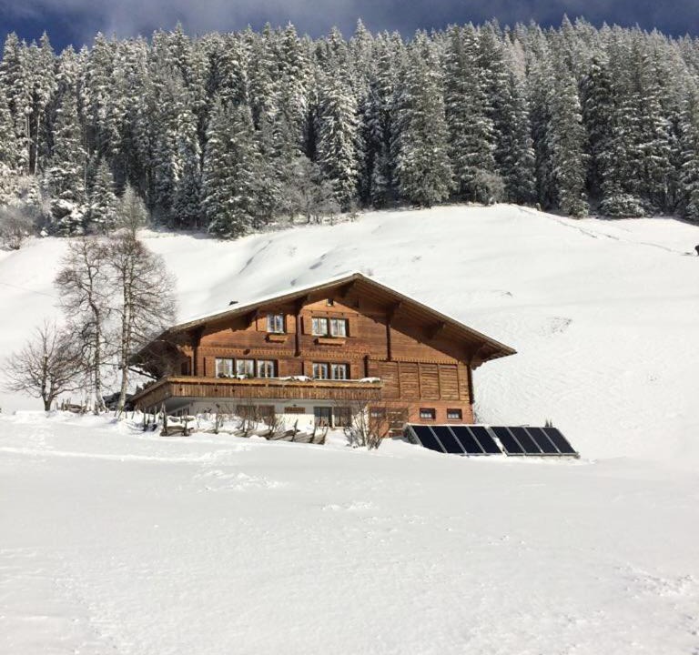 Photo of Others in Adelboden