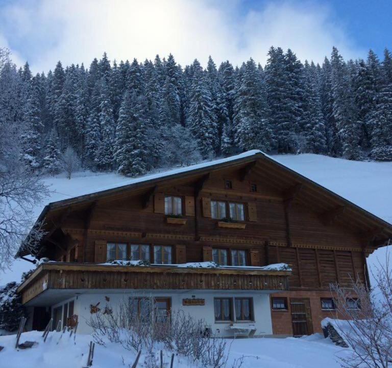 Photo of Others in Adelboden