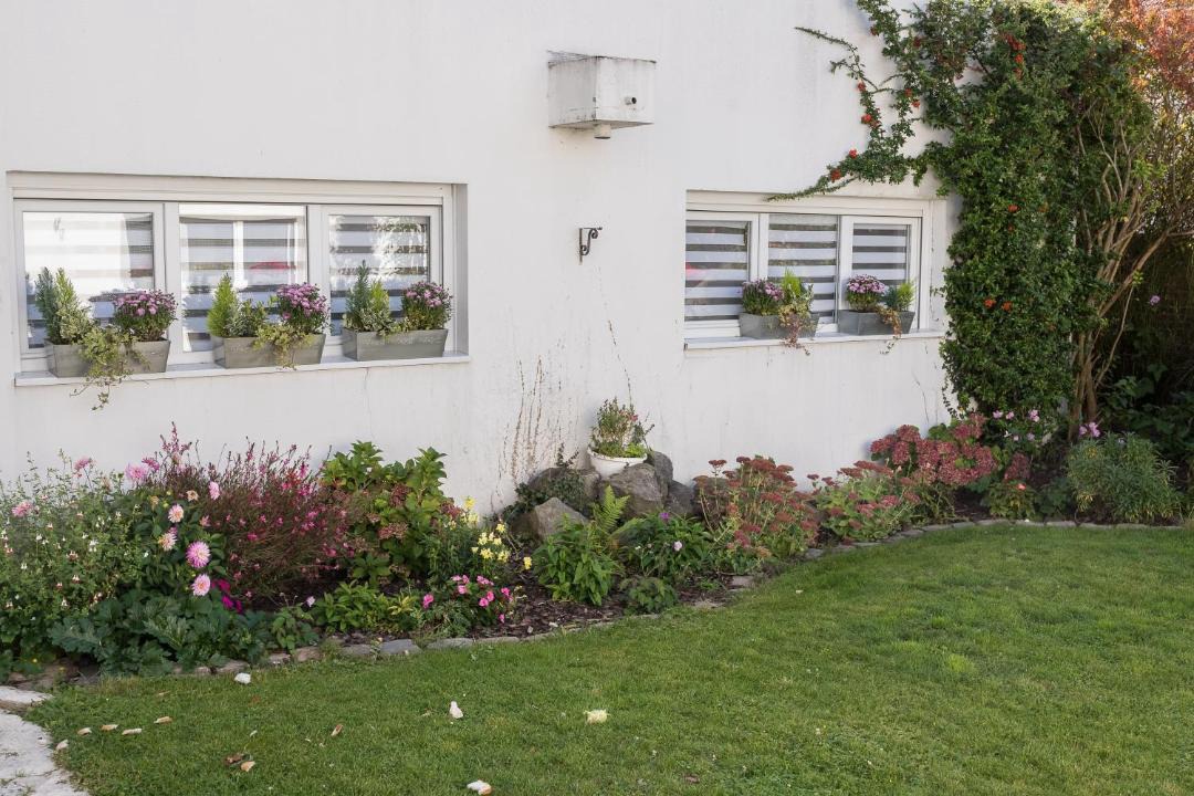 Photo of Others in Mazingarbe