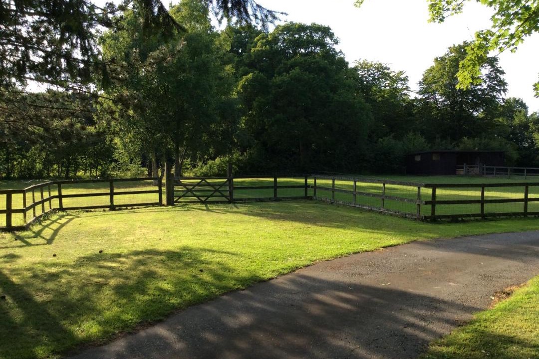 Photo of Others in Ashford