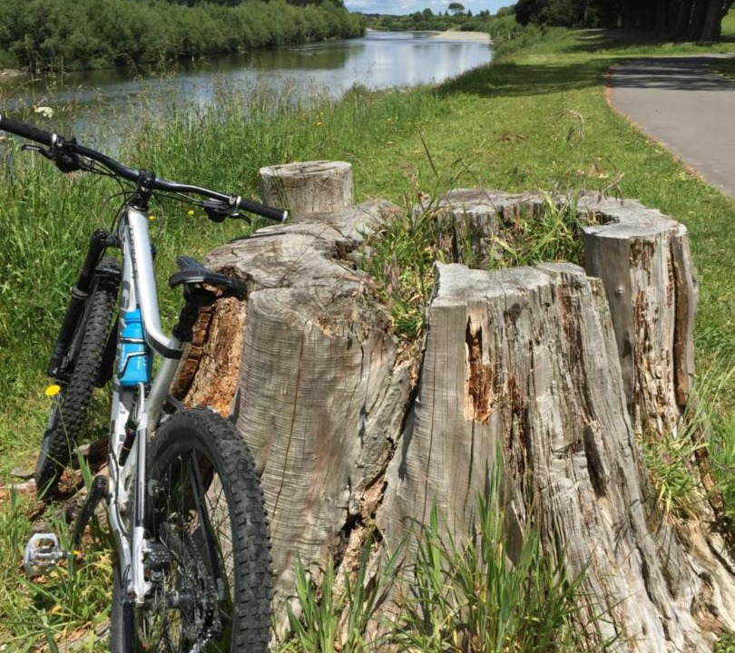 Photo of Others in Palmerston North