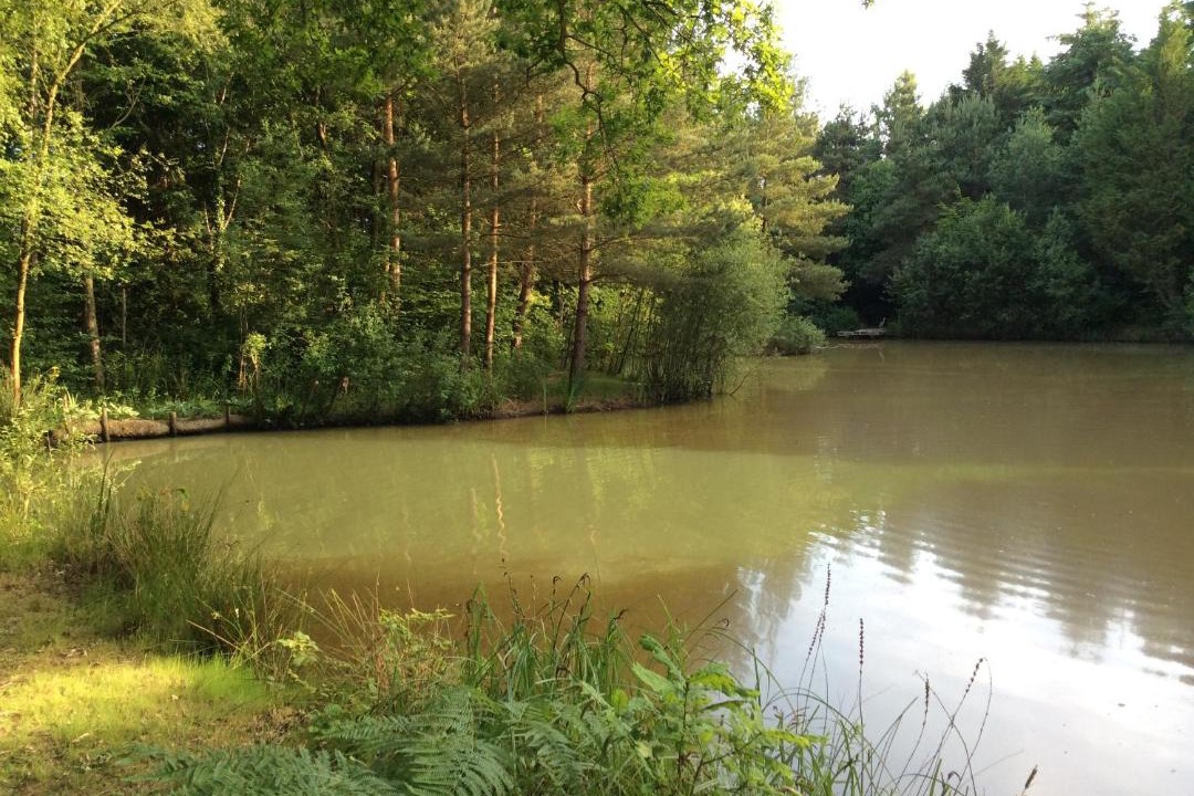 Photo of Others in Ashford