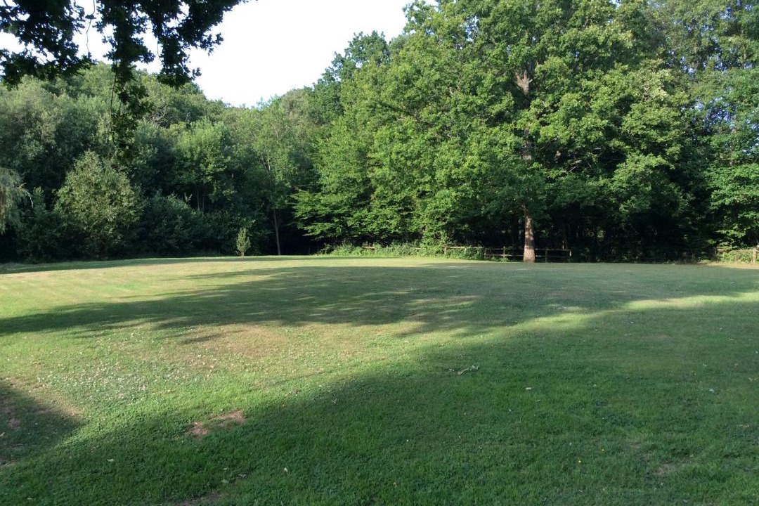 Photo of Others in Ashford