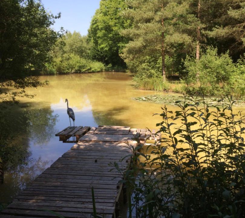 Photo of Others in Ashford