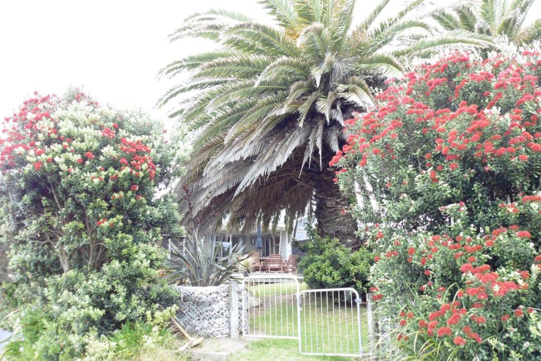 Photo of Outdoor in Waikanae