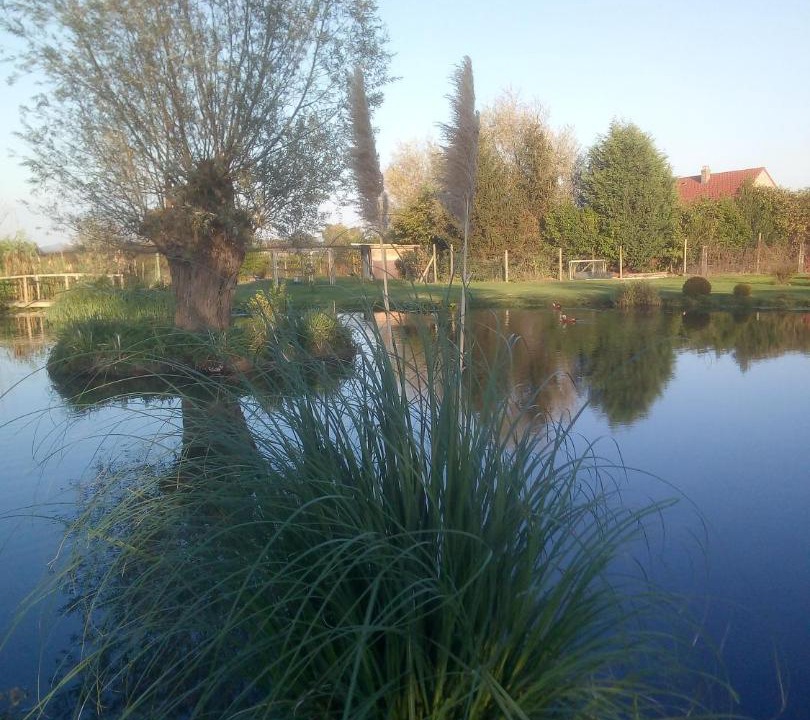 Photo of Others in Fromelles