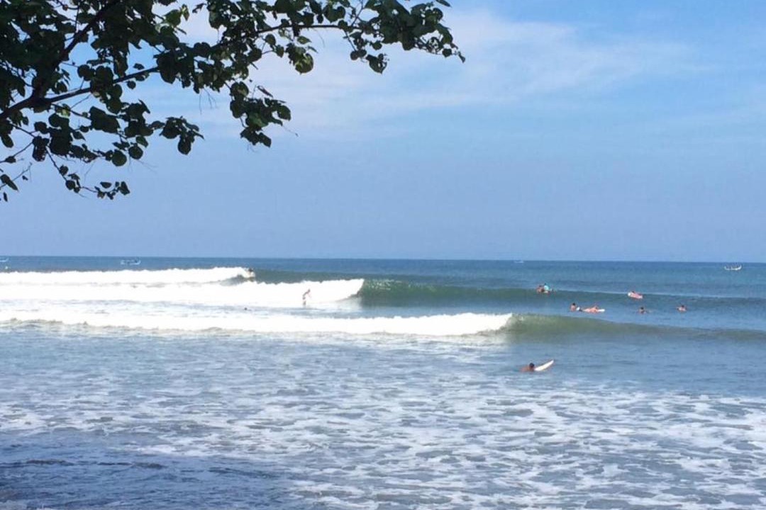 Photo of Others in Medewi