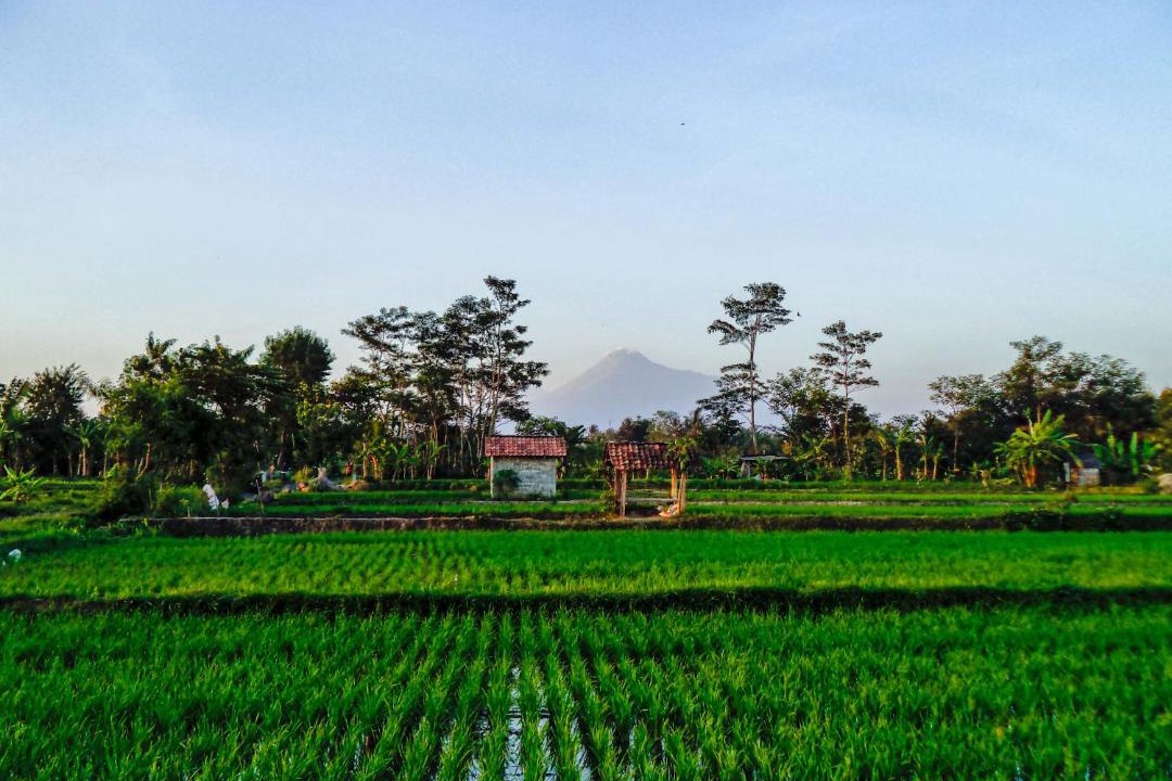 Photo of Others in Sinduharjo