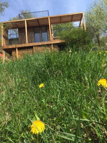 Photo of Others in Osenbach