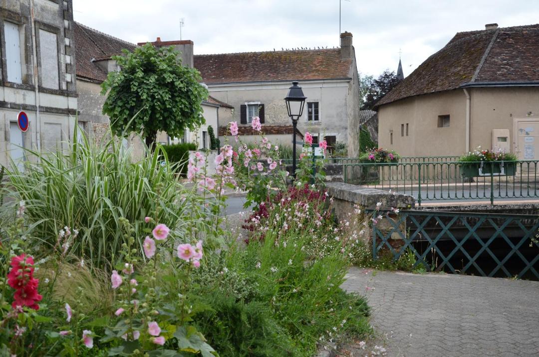 Photo of Others in Mezieres-en-Brenne