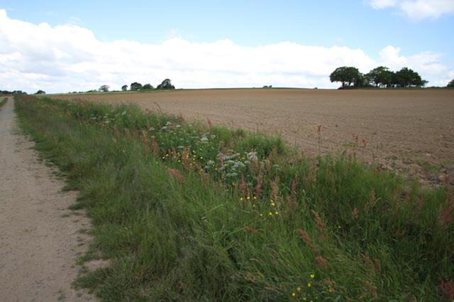 Photo of Outdoor in Saint-Pere-en-Retz