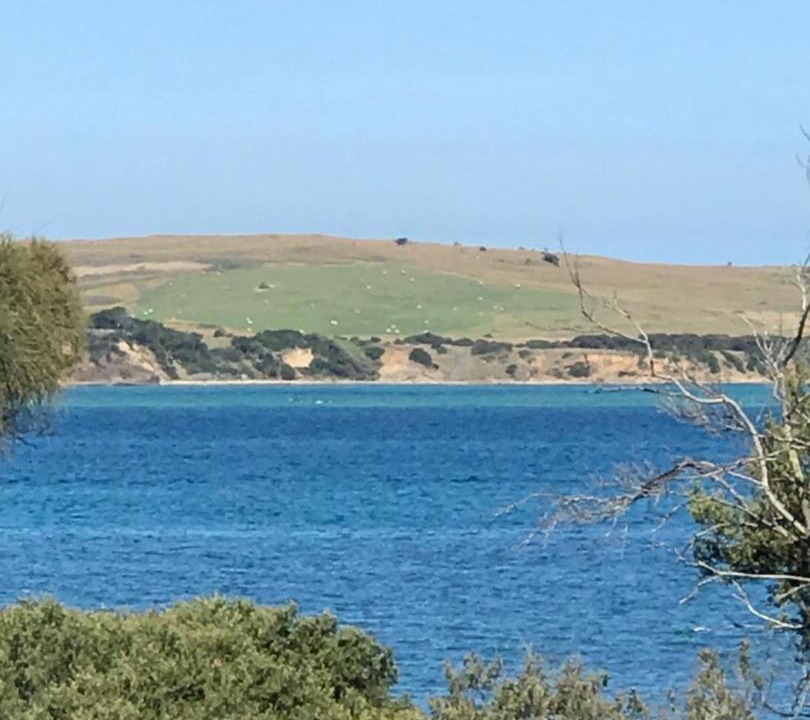 Photo of Others in Cape Woolamai